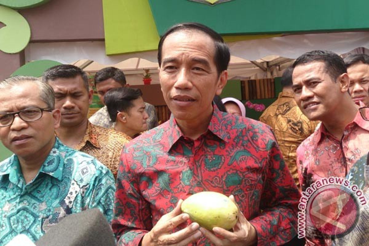 Presiden Minta Produksi Buah Nusantara Ditingkatkan