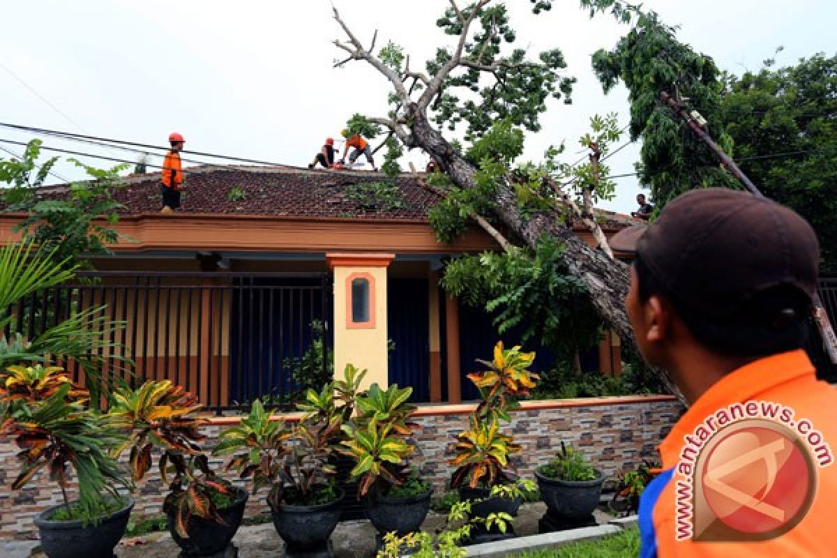 Puting beliung hancurkan ratusan rumah di Lebak