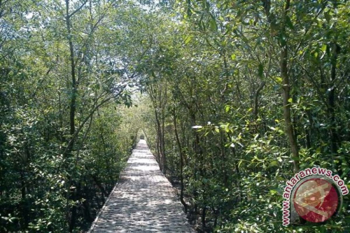 Mengalihfungsikan Taman Jadi Hutan Kota Surabaya
