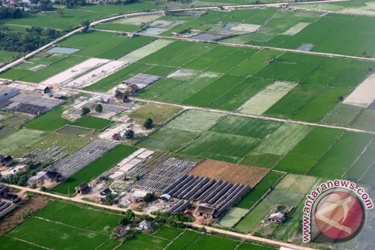 Karawang tidak khawatir maraknya penjualan sawah