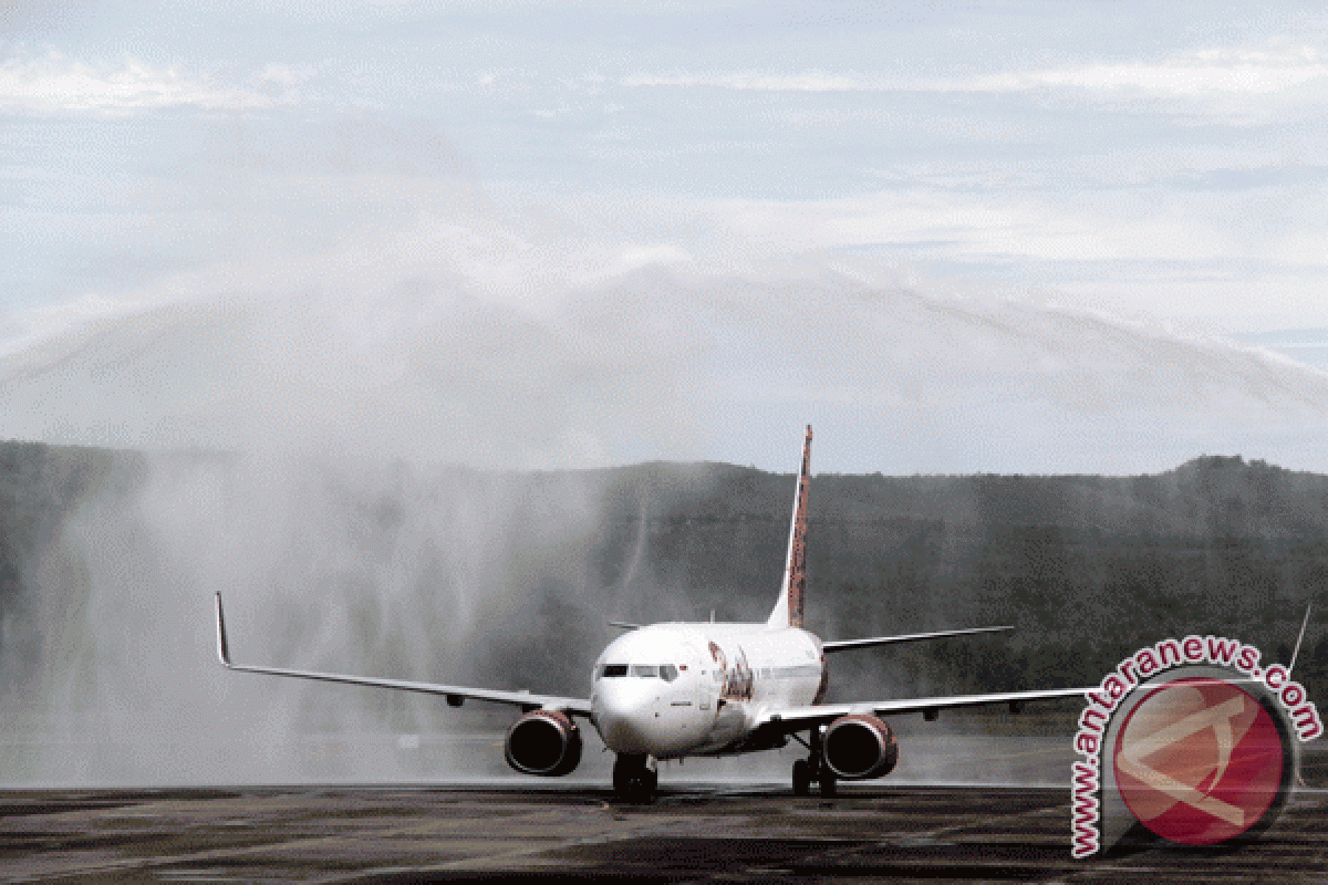 Pemda sambut positif Batik Air masuk Timika