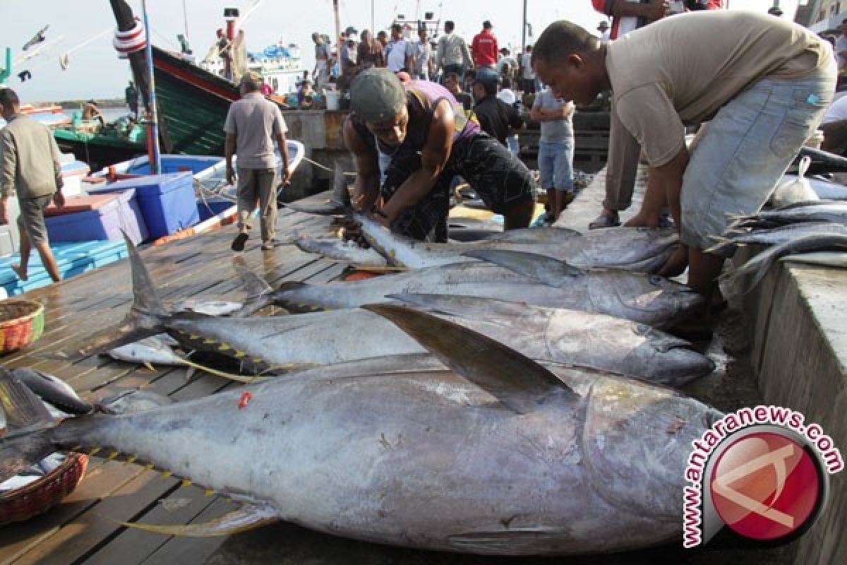 Gubernur Banten Ajak Masyarakat Tingkatkan Konsumsi Ikan