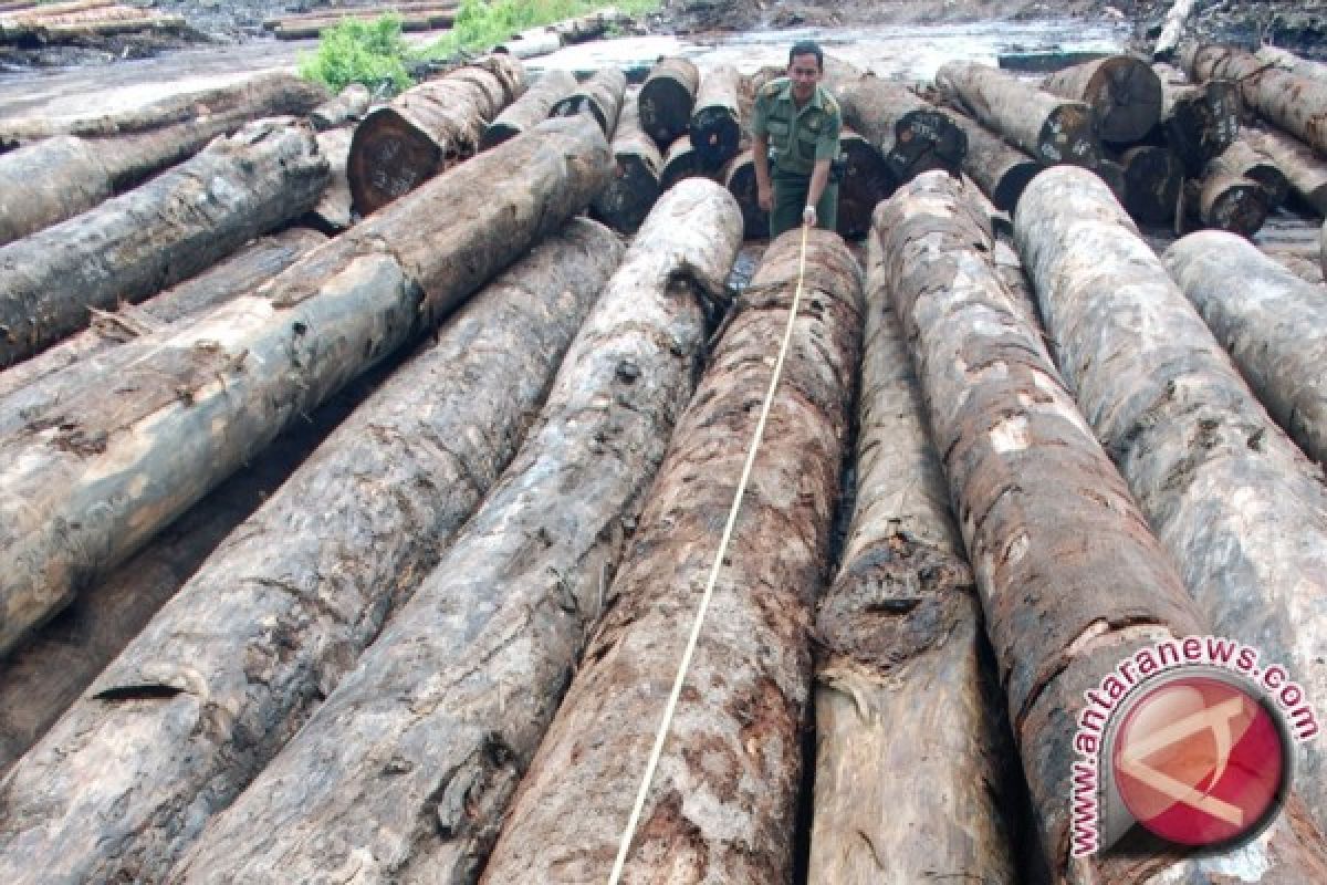 Polda Jambi amankan 28 pelaku pembalakan hutan 