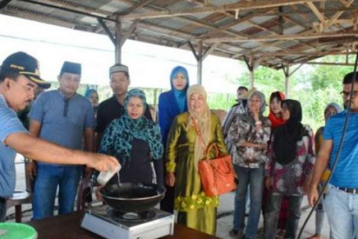 Listrik Biogas Pengganti Listrik Segera Masuk Desa