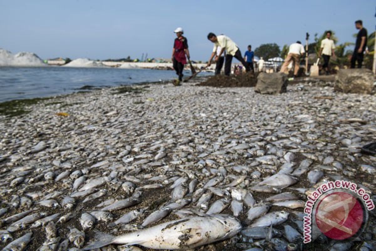 Ditpolair Polda Metro selidiki ribuan ikan mati