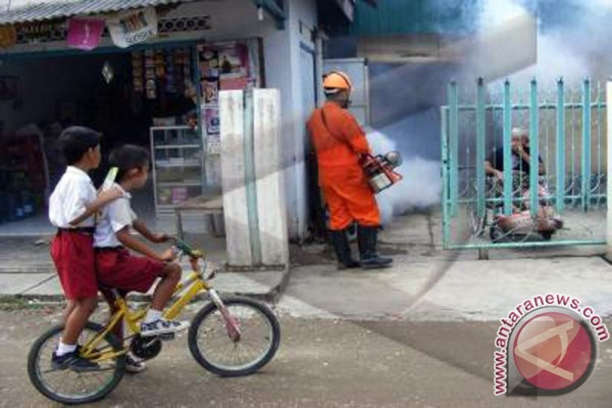 Tujuh Warga Bojonegoro Meninggal Akibat DBD