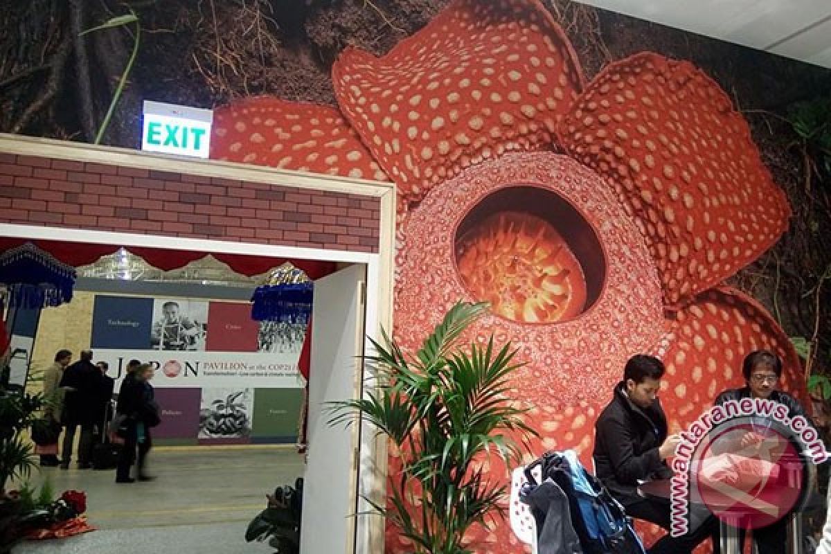 Foto Rafflesia arnoldii dipajang di Paris