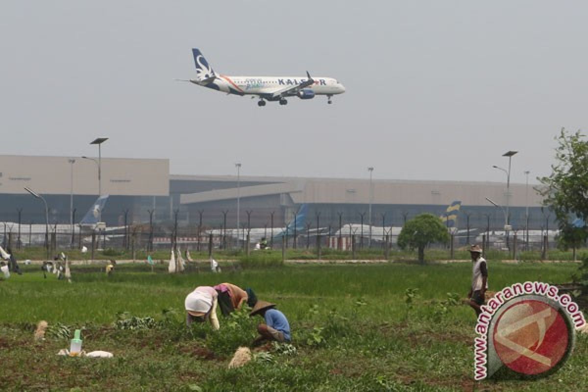 Areal pertanian produktif sekitar Bandara Soekarno-Hatta berkurang