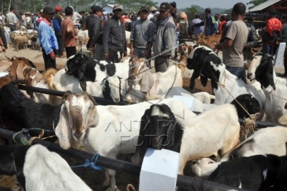 Memberatkan, DPRD Temanggung Tolak Pengadaan Tanah Pasar Hewan