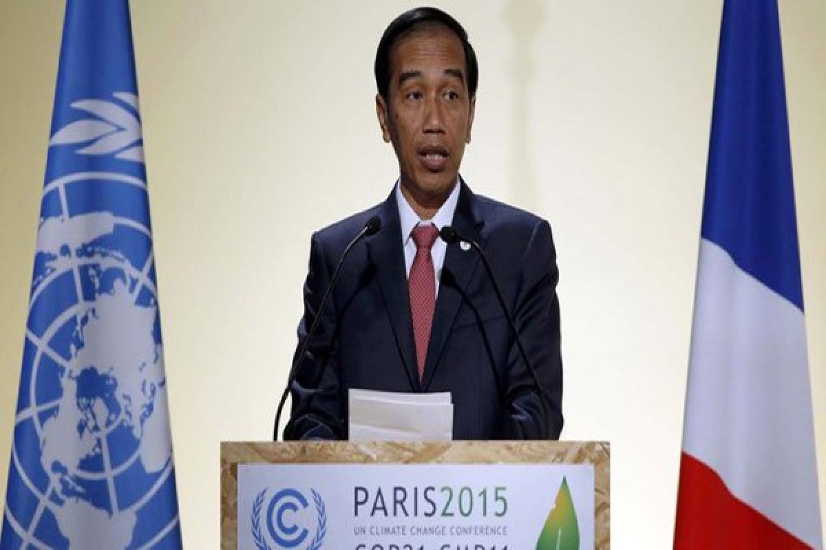 Presiden: Indonesia berkomitmen kelola hutan dan energi