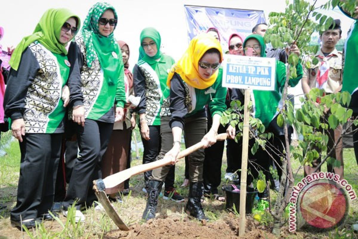 Pemprov-PKK Lampung peringati hari menanam pohon