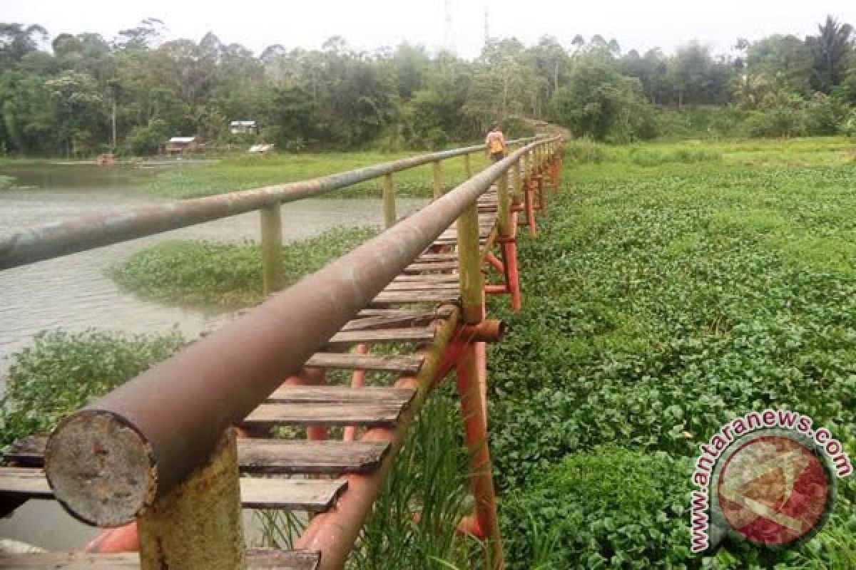 Enceng gondok penuhi Danau Suro