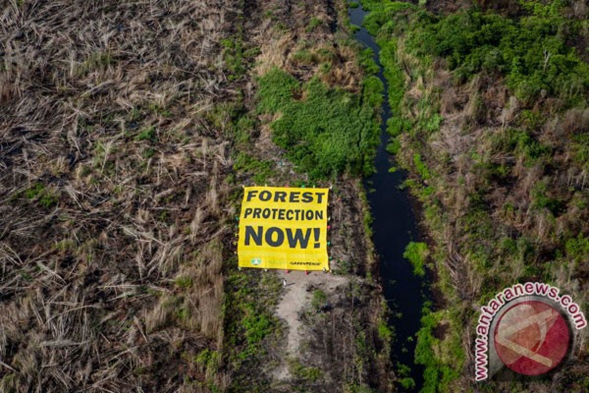 Global warming to see peatlands absorb more carbon in near future: study