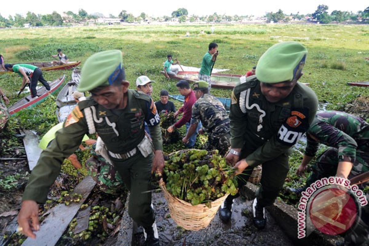 Eceng gondok pengaruhi tangkapan ikan