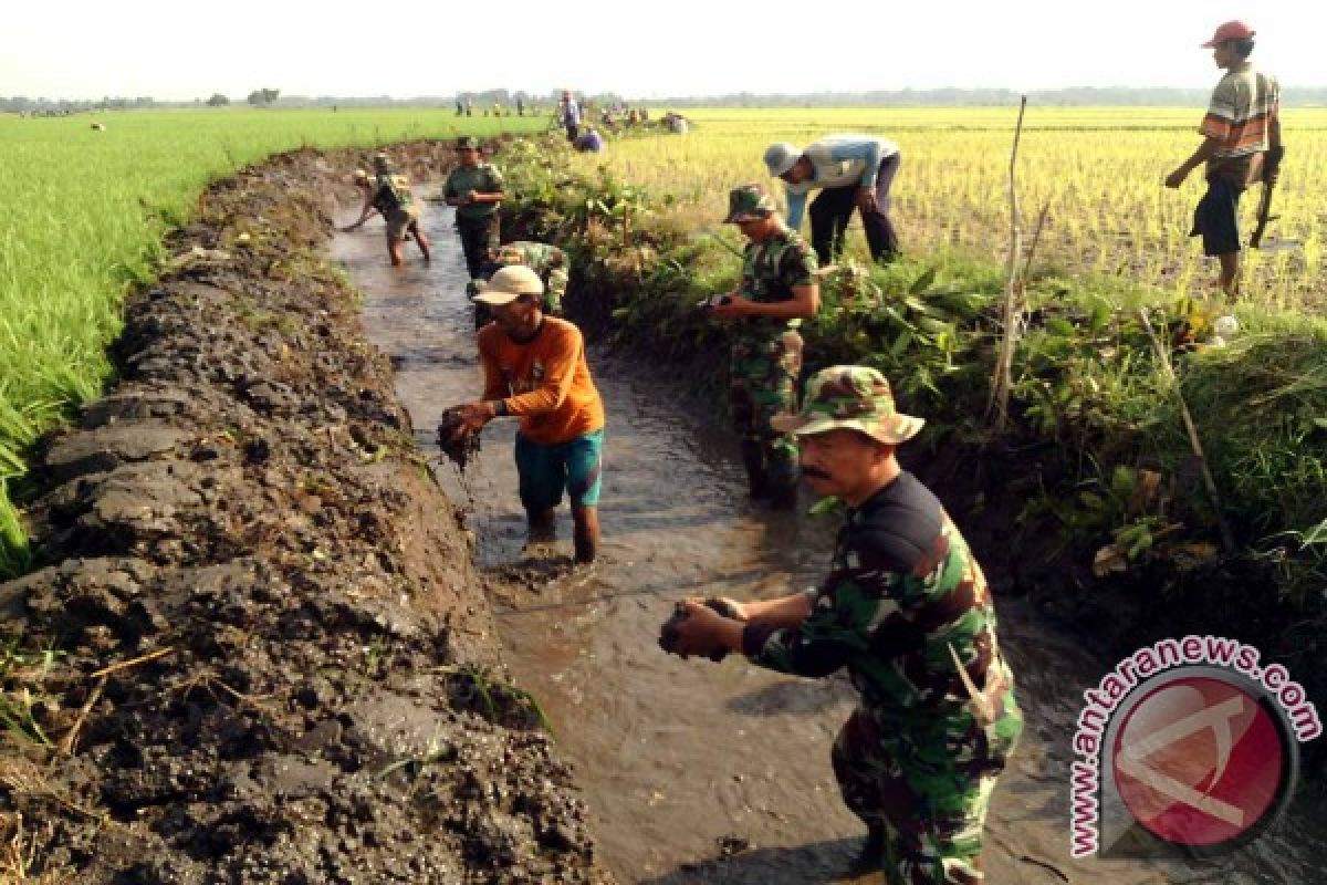 Babinsa Jember Bantu Petani Bersihkan Saluran Irigasi