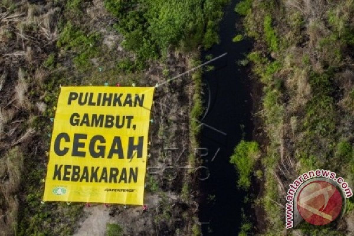 Wah! Perkebunan Di Kotawaringin Timur Bantu Cegah Kebakaran Lahan