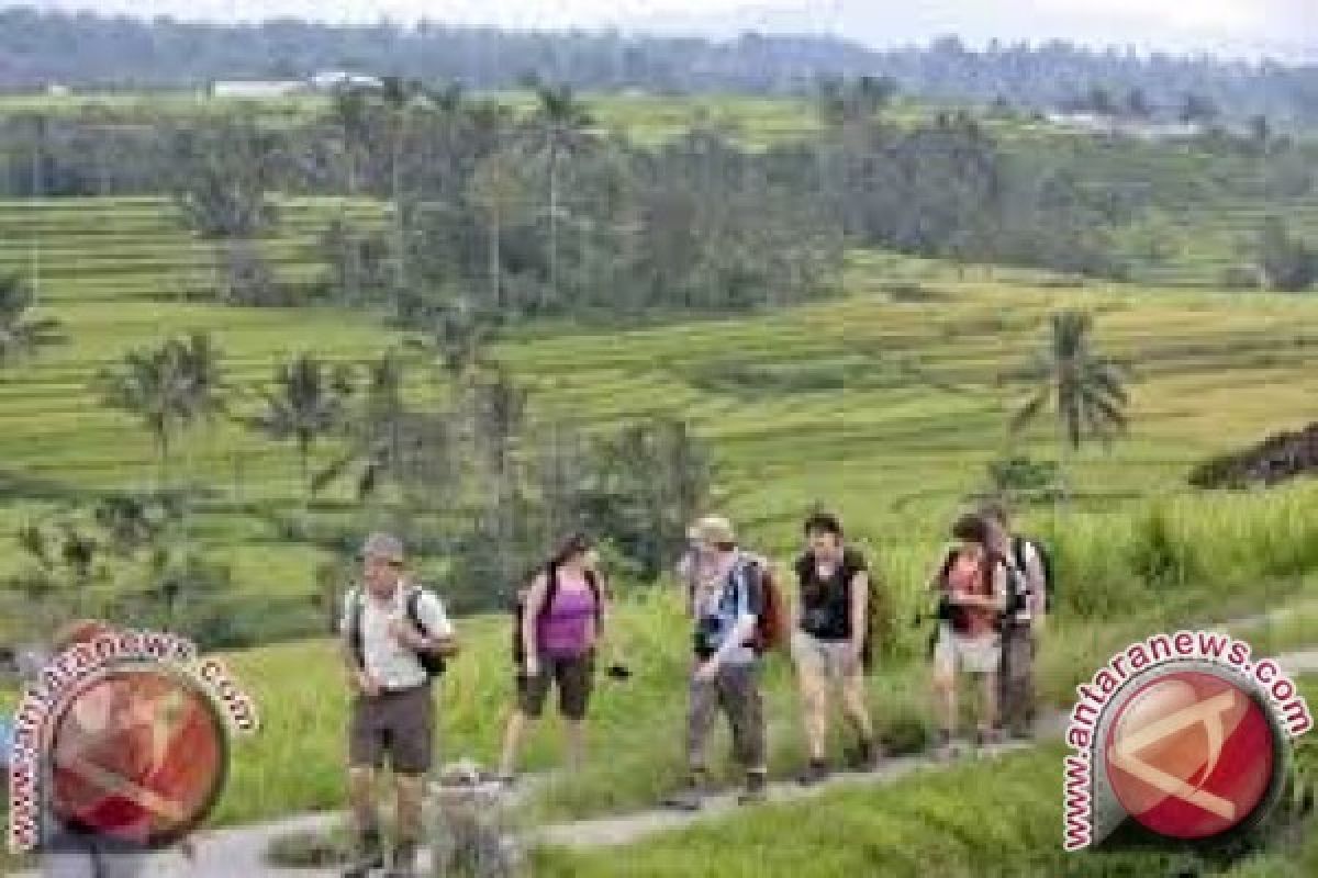 Indonesia peringkat tiga besar wisatawan digital dunia