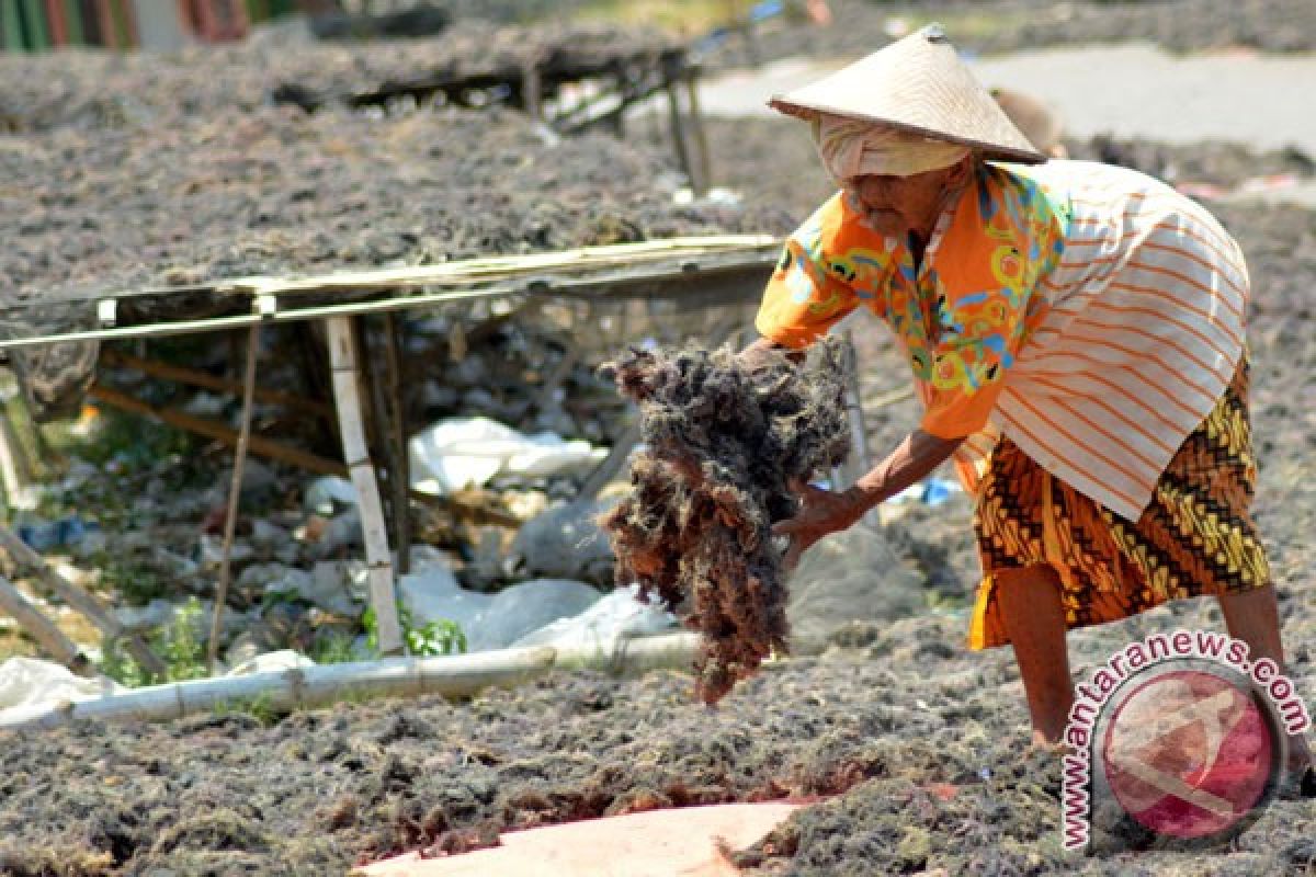 Nelayan rumput laut Nunukan mengaku diperas polisi negara tetangga