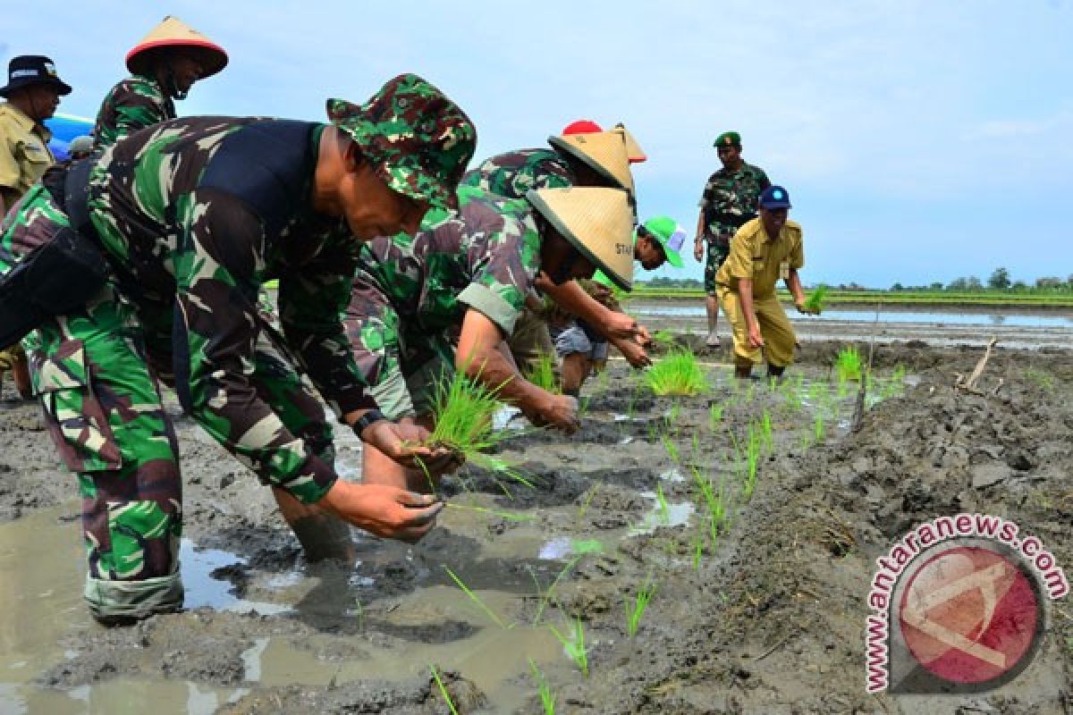 Mempersembahkan mahakarya swasembada pangan