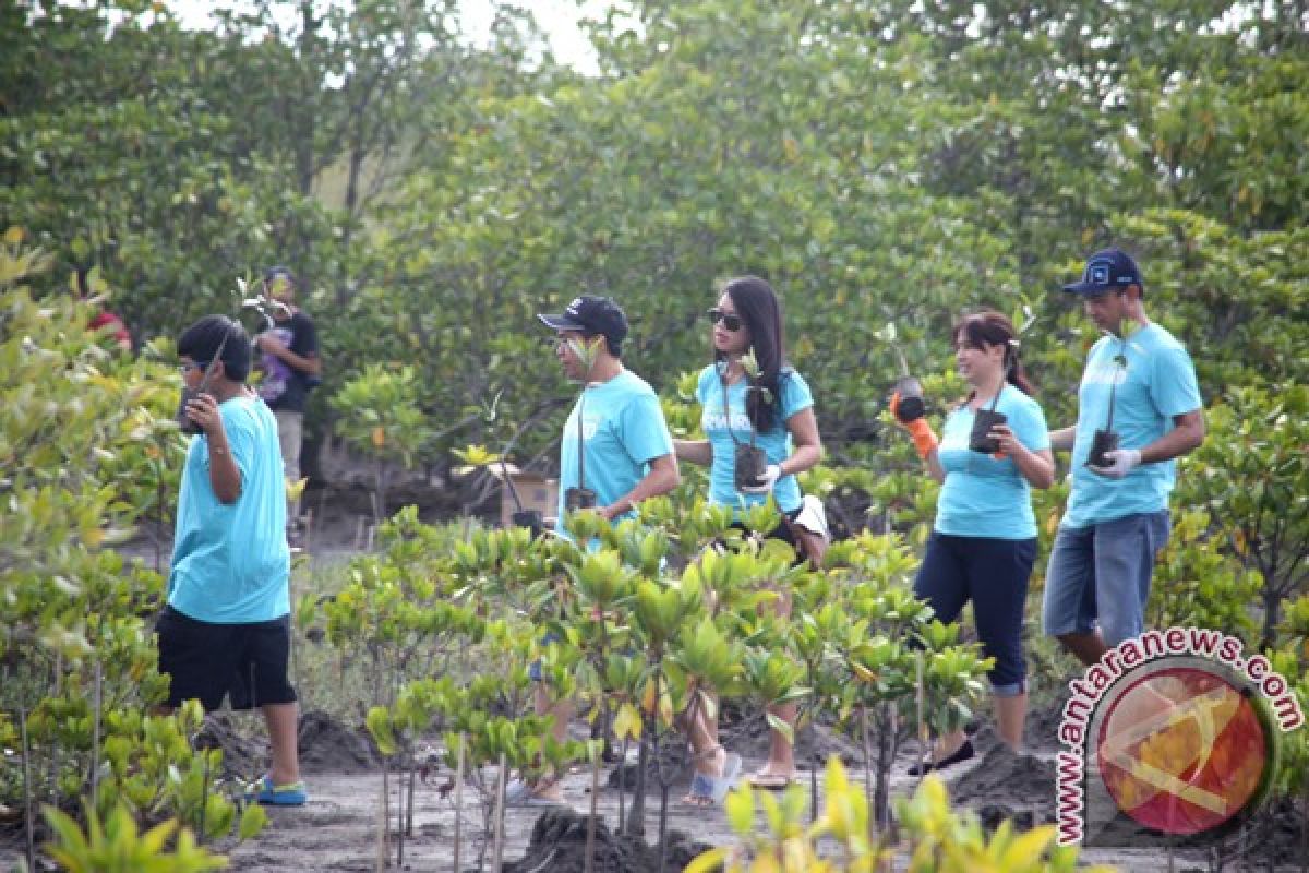 Sudikerta Ajak Generasi Muda Lestarikan Hutan Bakau