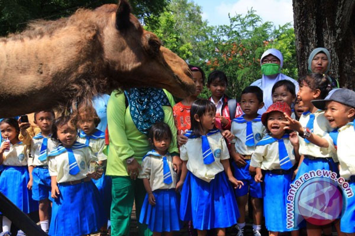 Gembira Loka Zoo mulai bangun zona karnivora