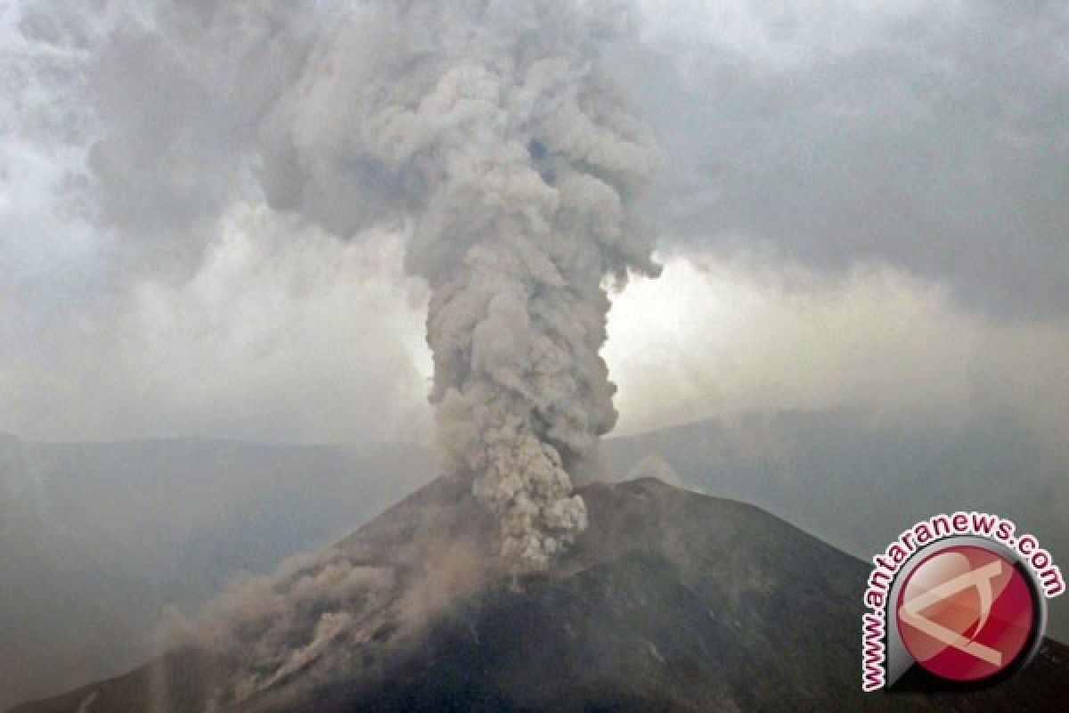 Tinggi letusan Gunung Barujari Lombok terus menurun 