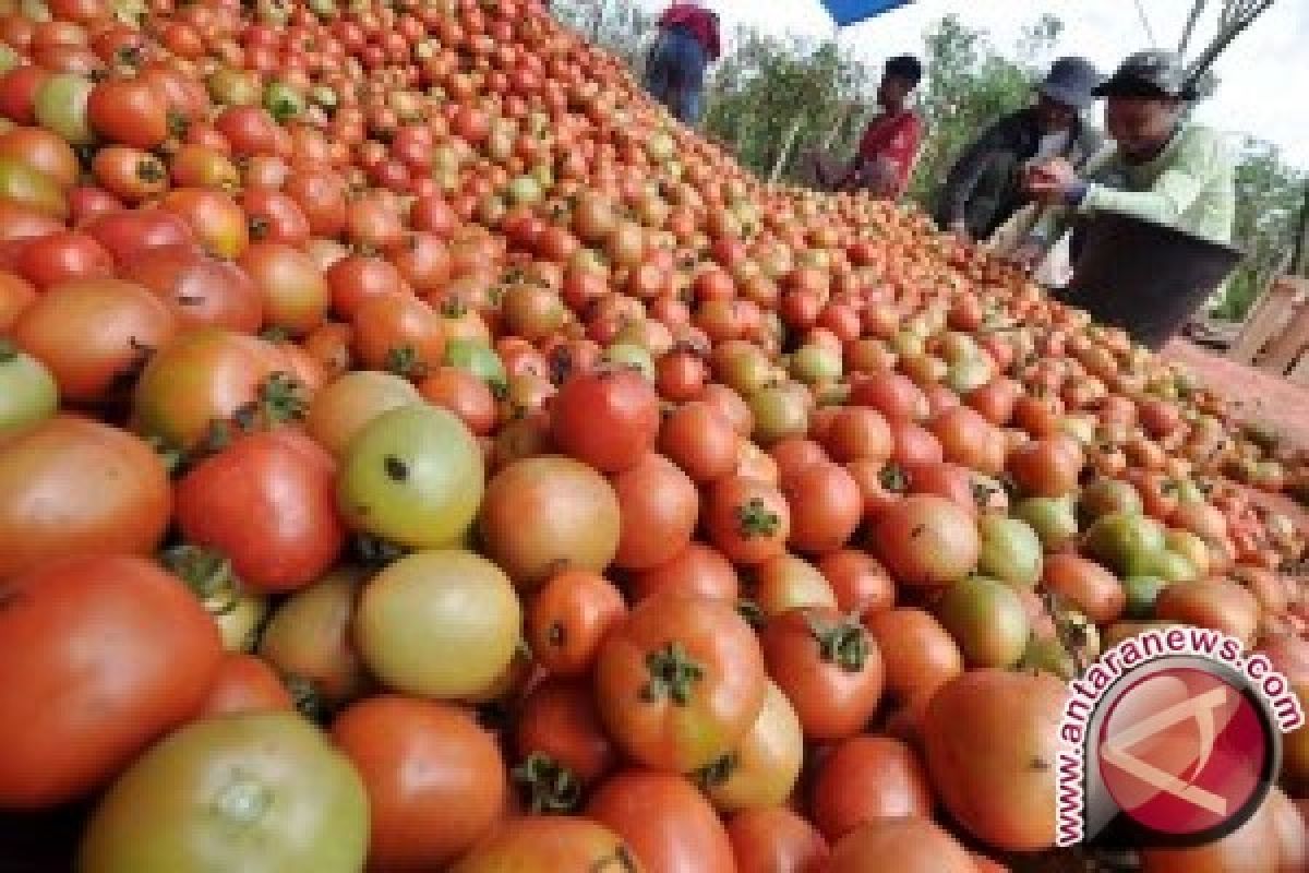 Nilai tukar petani Jambi turun 0,11 persen