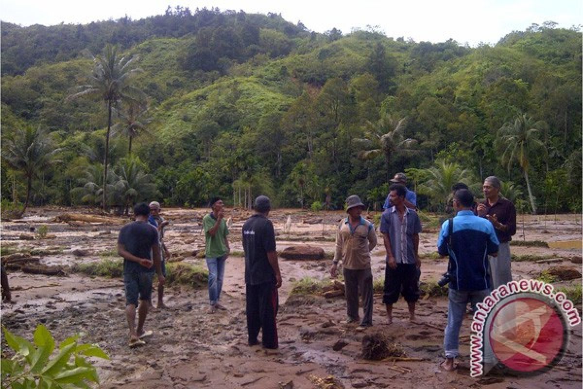 Banjir rusak 35 hektare sawah di Aceh Barat