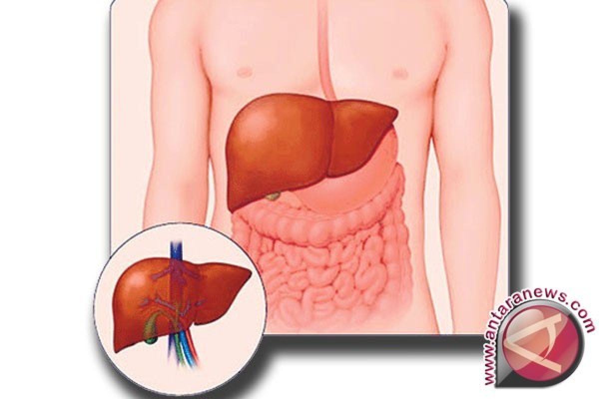 9 Cara Halau Virus Hepatitis A