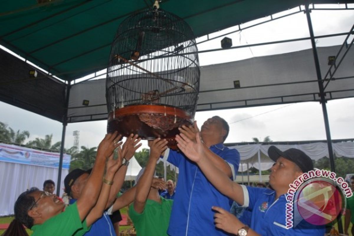 Lomba Burung Berkicau Di Deliserdang Meriah