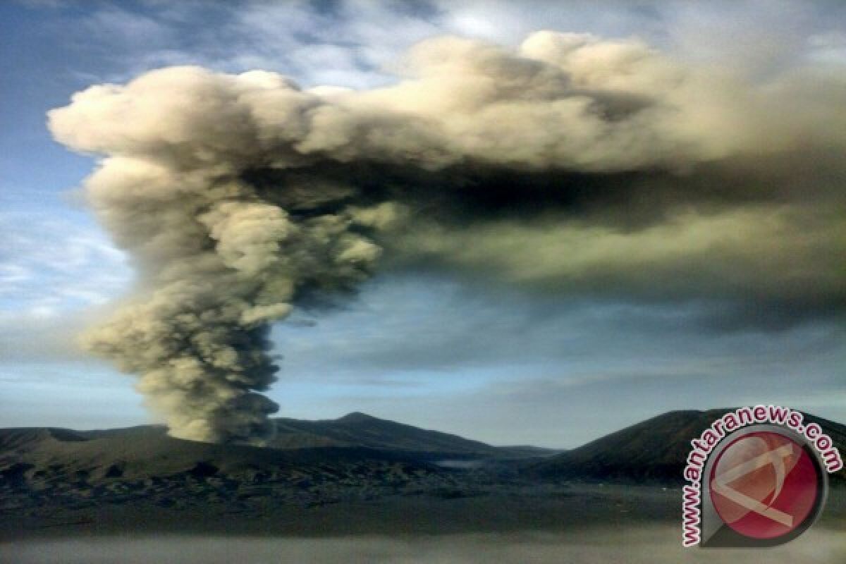 Siaga Bromo BPBD Lumajang Siapkan Ribuan Masker