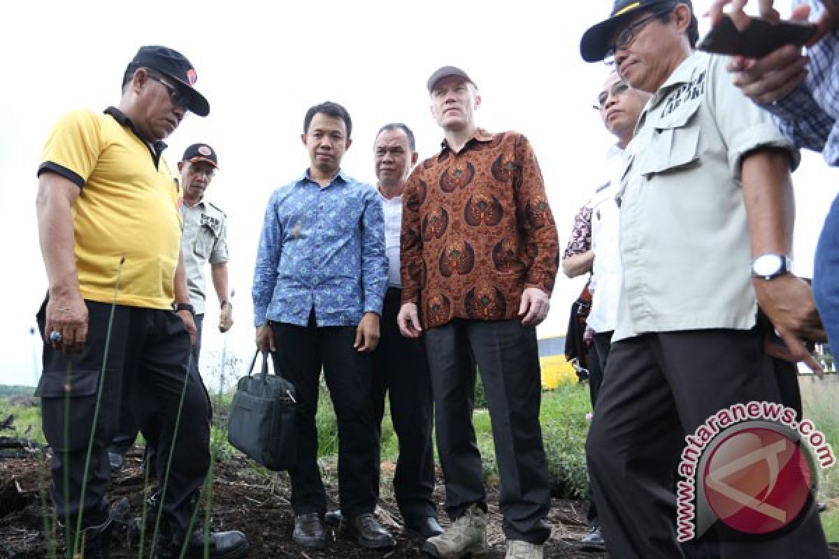 UE siap bantu pemulihan lahan gambut