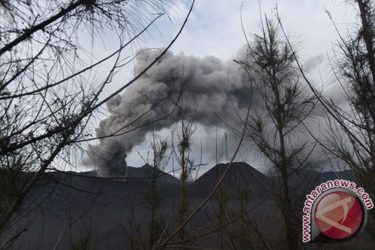 Tari tradisional ujung hibur wisatawan erupsi Bromo