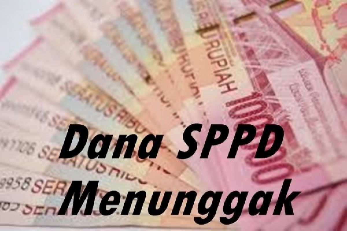 Diskominfo Papua dorong SKPD terapkan SPPD berbasis web 