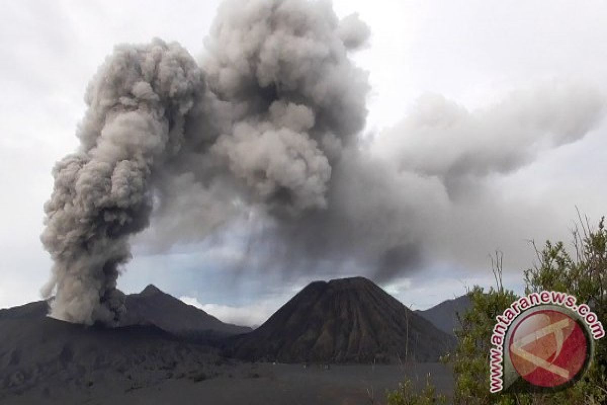 Tiga Desa di Lumajang Diguyur Abu Bromo