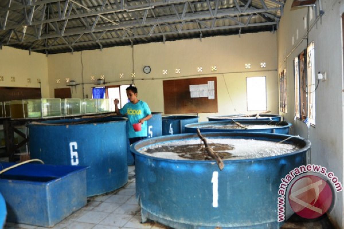 BBI Gunung Manau Butuh Perluasan Lahan