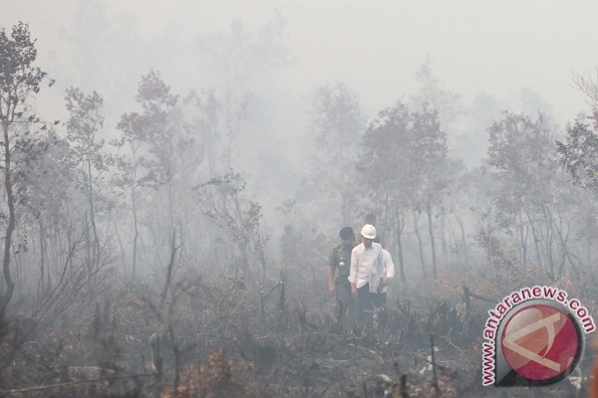 SHI: Jutaan hektare hutan Sumsel rusak 