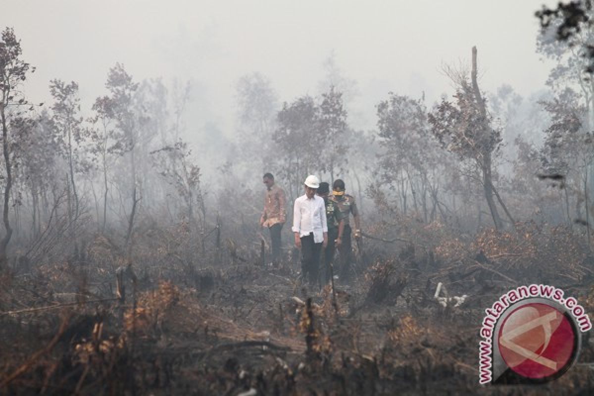 Areal hutan trenggalek terbakar dua hektare