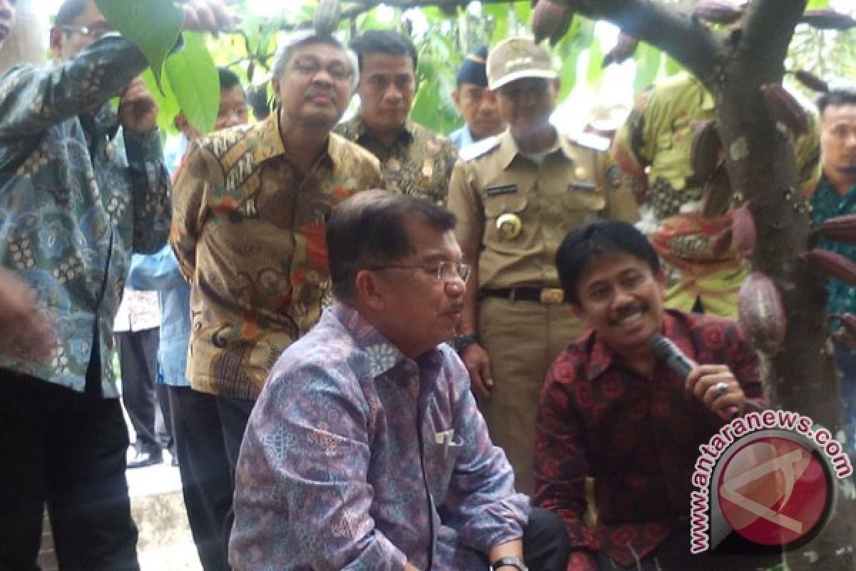 Wapres Ajak Petani Kakao Sultra Tingkatkan Produksi 