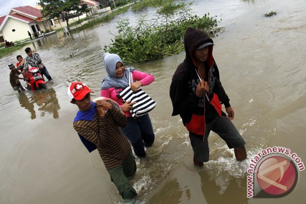 Sawah dan ratusan rumah terendam banjir di Tapanuli Selatan