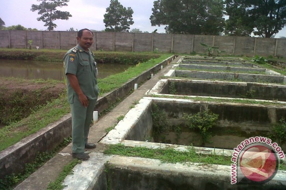 BBIL Nilai Jatah Pakan Kurang