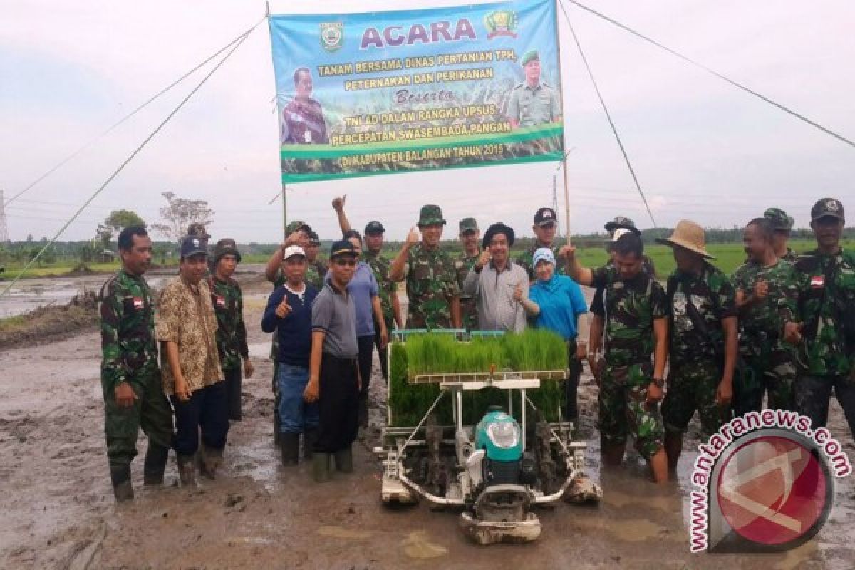 Pemkab Balangan Asuransikan Tanaman Padi Petani