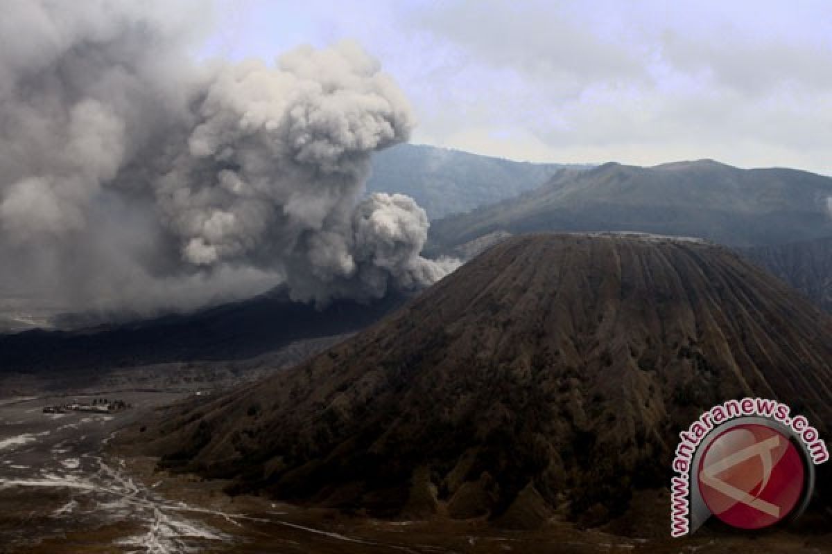 1.360 hektare lahan pertanian Probolinggo terdampak abu Bromo