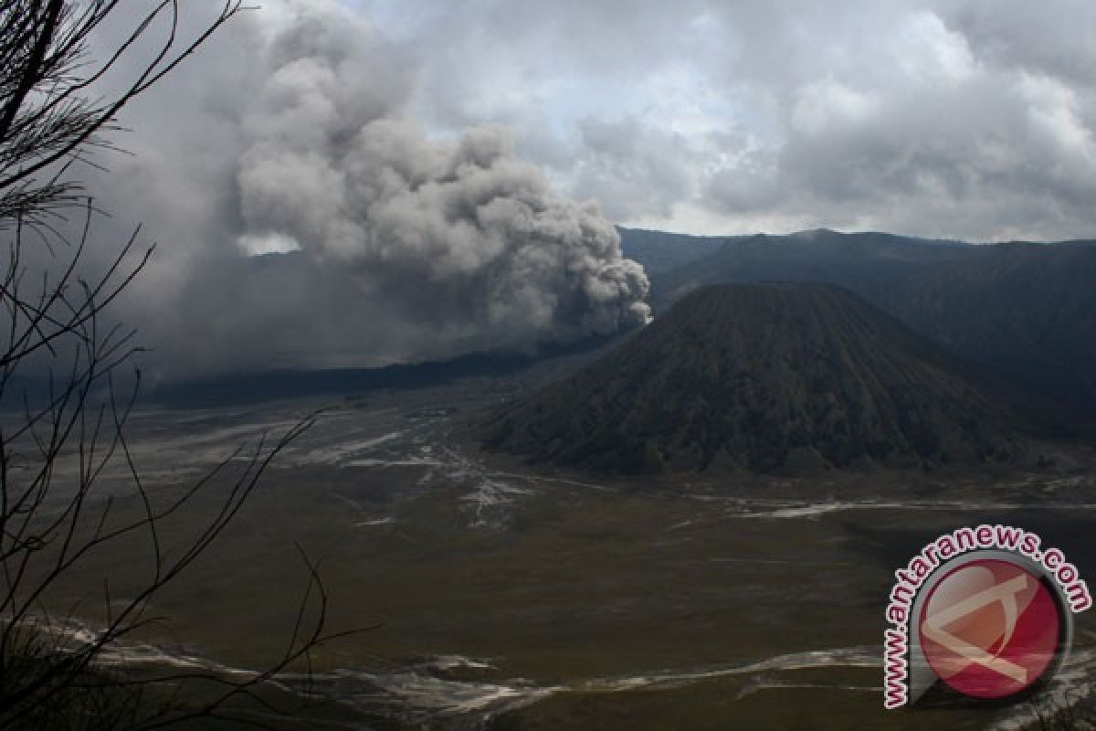 Abu Bromo diusulkan jadi oleh-oleh