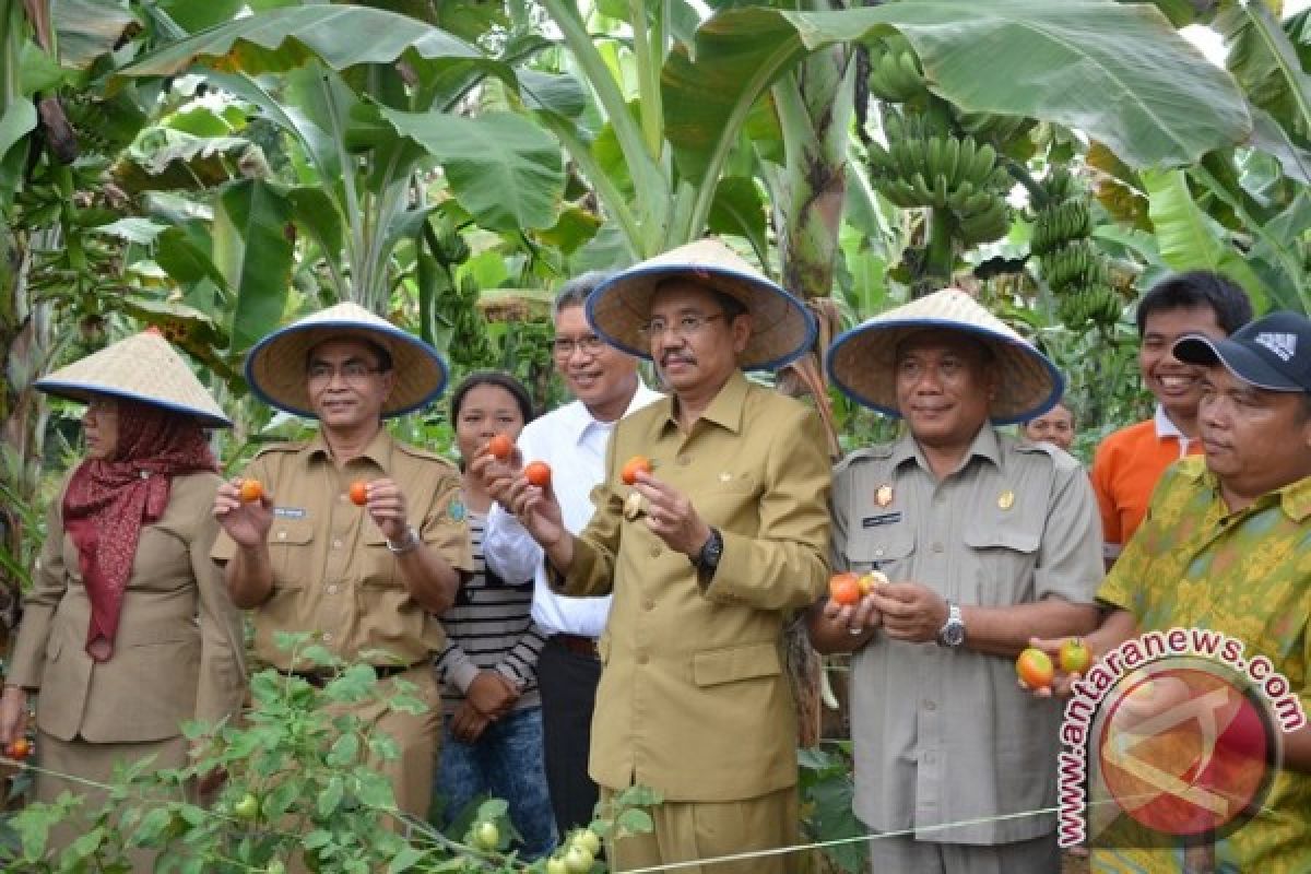 Plt Gubsu: Petani Harus Siap Hadapi Pasar Bebas