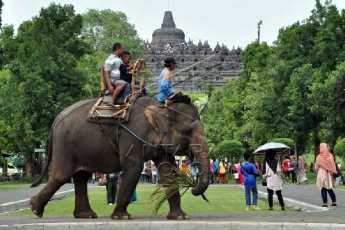 Upaya Borobudur Sambut Wisatawan Liburan Akhir Tahun