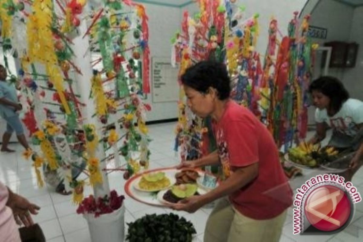 Warga muslim Biak berebut telur Maulid Nabi 
