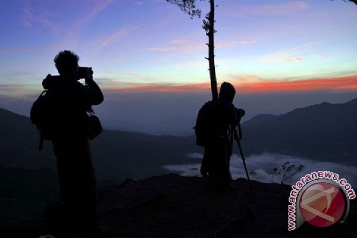 Libur Natal, Dieng Dipadati Wisatawan