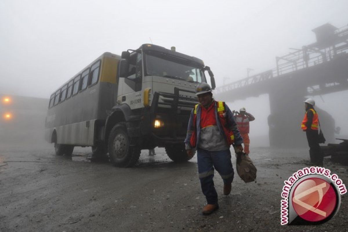 Karyawan Freeport Mulai Mogok Kerja Sebulan