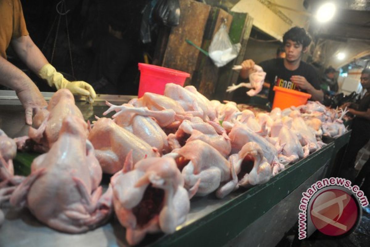 Penurunan harga daging ayam ras redam inflasi Palembang